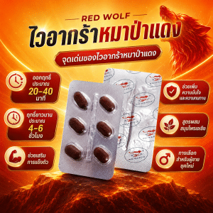 ไวอากร้าหมาป่าแดง เจาะลึกสรรพคุณ กลไกการออกฤทธิ์ และความปลอดภัยก่อนใช้